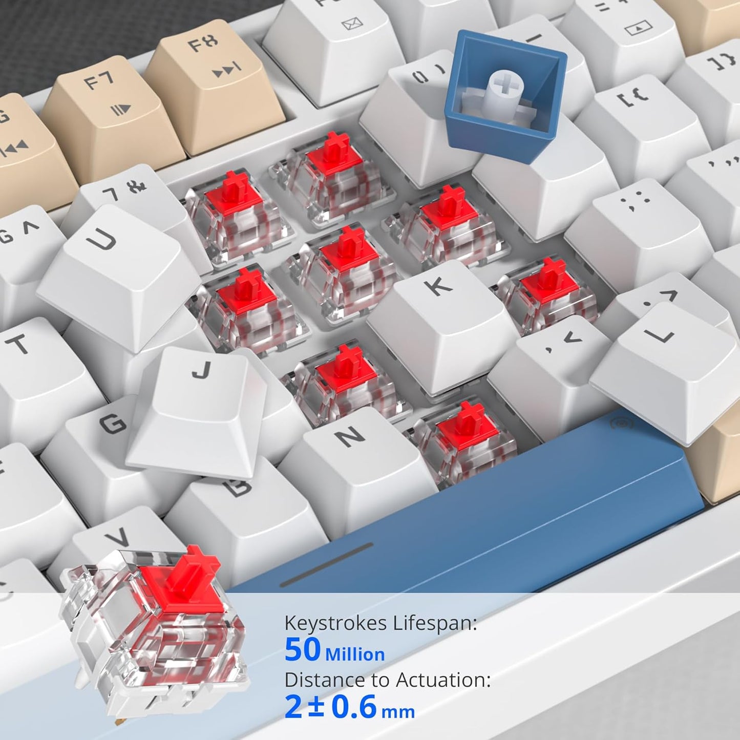 75% Mechanical Gaming Keyboard with Volumn Knob, Gasket Hot Swappable RGB, Wired, Red Switch, 82 Keys Compact Creamy (Black Grey)