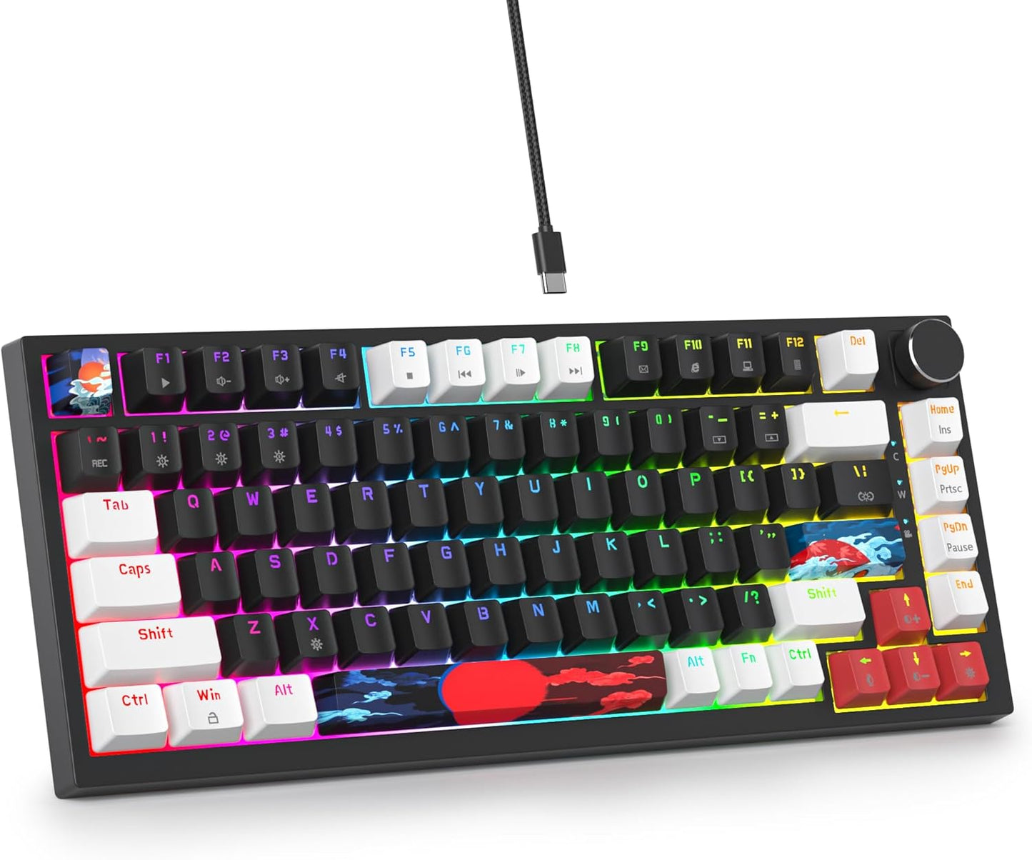 75 Percent Keyboard Gasket-Mounted with Sound Absorbing Pads, 82-Key Compact Wired RGB Mechanical Gaming Keyboard Hot-Swap Socket for Win, Dolch