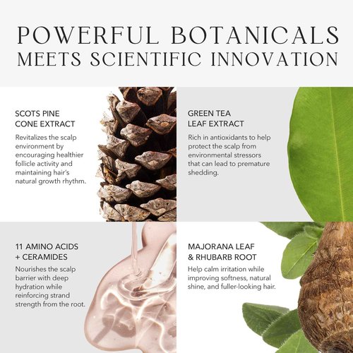 Kiwabi Root Beauté Regrowth Hair Serum – Lightweight Hair Growth Serum for Men and Women – Help Prevent Hair Loss for Thicker, Stronger Strands – Fragrance-Free & Fast-Absorbing (2.1 fl oz)