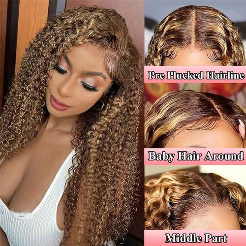 ALSZIQIHR 18 inch Water Wave P4/27 Highlight 13x4 HD Transparent Lace Front Wigs Ombre Human Hair Wet and Wavy Curly Glueless Lace Frontal Wigs Pre Plucked with Baby Hair 180% Density