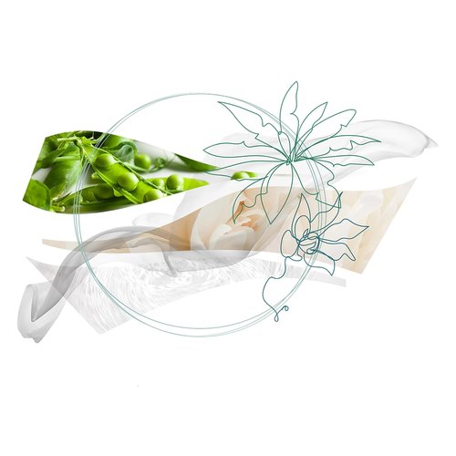 Ferragamo Giungle Di Seta Eau de Parfum, Genderless Perfume Spray, 1.7 Fl. Oz.