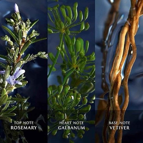 Davidoff Cool Water Reborn Eau de Toilette 4.2 fl oz