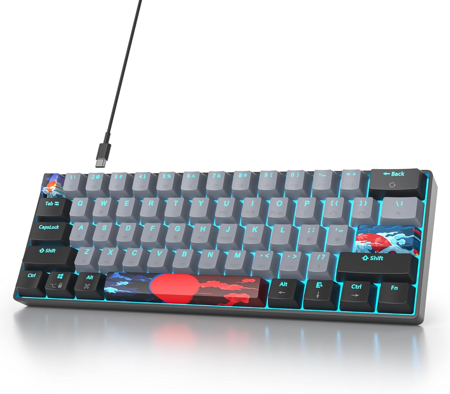 60 Percent Gaming Keyboard 68 Keys Mechanical Keyboard LED Backlit Compact Wired Keyboard with Red Switch for Windows PS4/5 Xbox Gamer(Black-White)