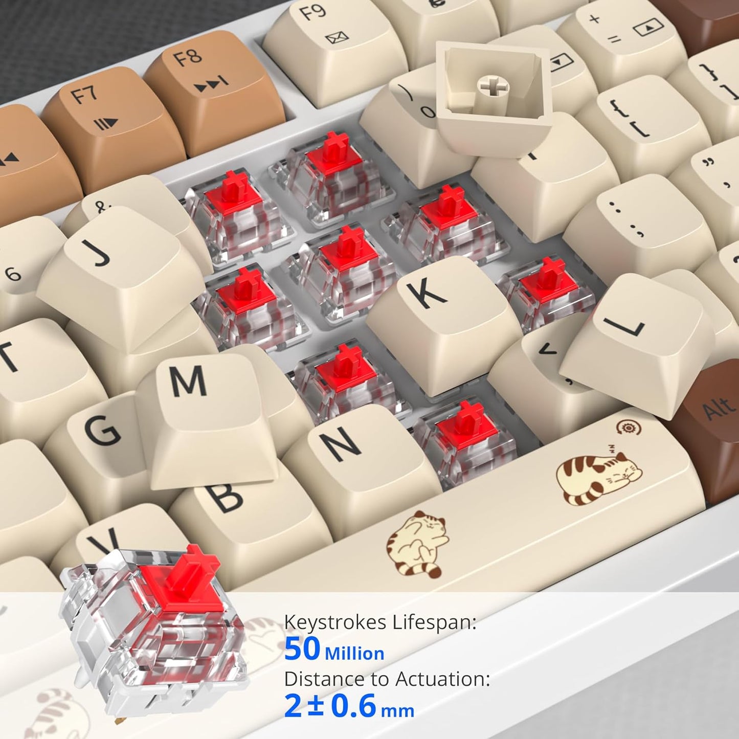 75% Mechanical Gaming Keyboard with Volumn Knob, Gasket Hot Swappable RGB, Wired, Red Switch, 82 Keys Compact Creamy (Black Grey)