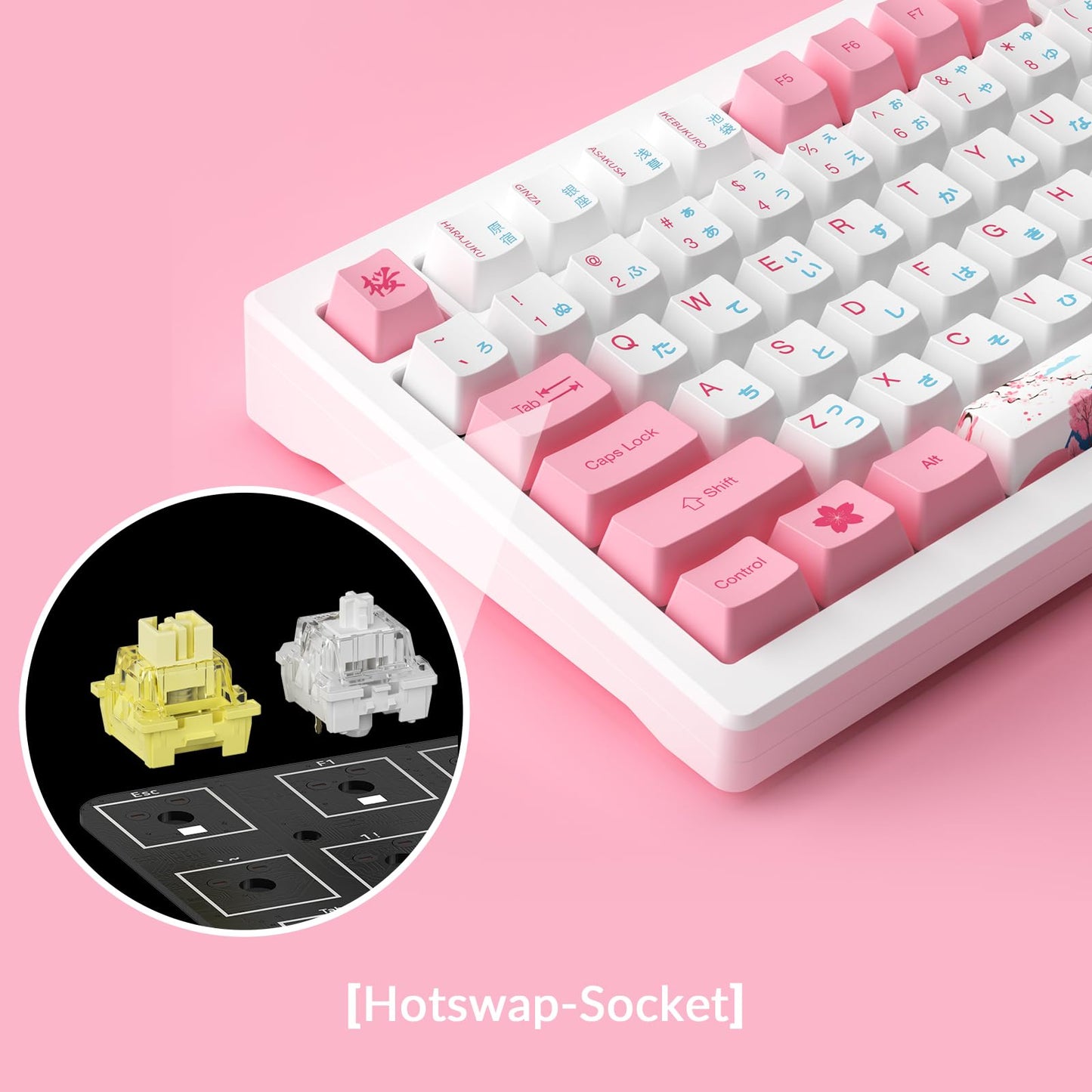 Akko Magnetic Switches Rapid Trigger Gaming Keyboard, MOD007B HE PC World Tour Tokyo Wired/Wireless 75% 8k Polling Rate Mechanical Keyboard with Knob, RGB Backlit (Kailh Sakura Pink Magnetic Switch)