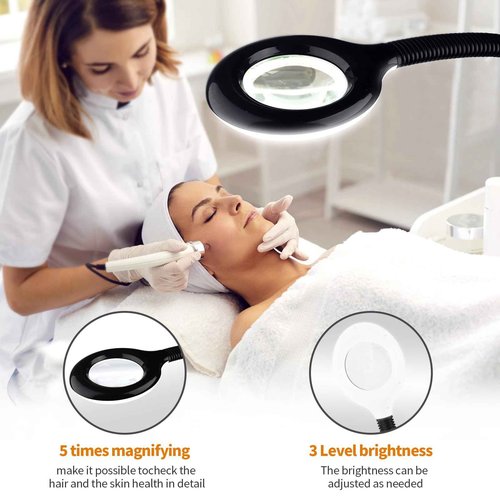Retain Time Facial Steamer for Ozone Humidifier Atomizer Attach 5× Magnifier and Light, Professional Face Steamer Clean Skin Firming Pores and Moisturizing Suitable for a Beauty, Spa, at Home