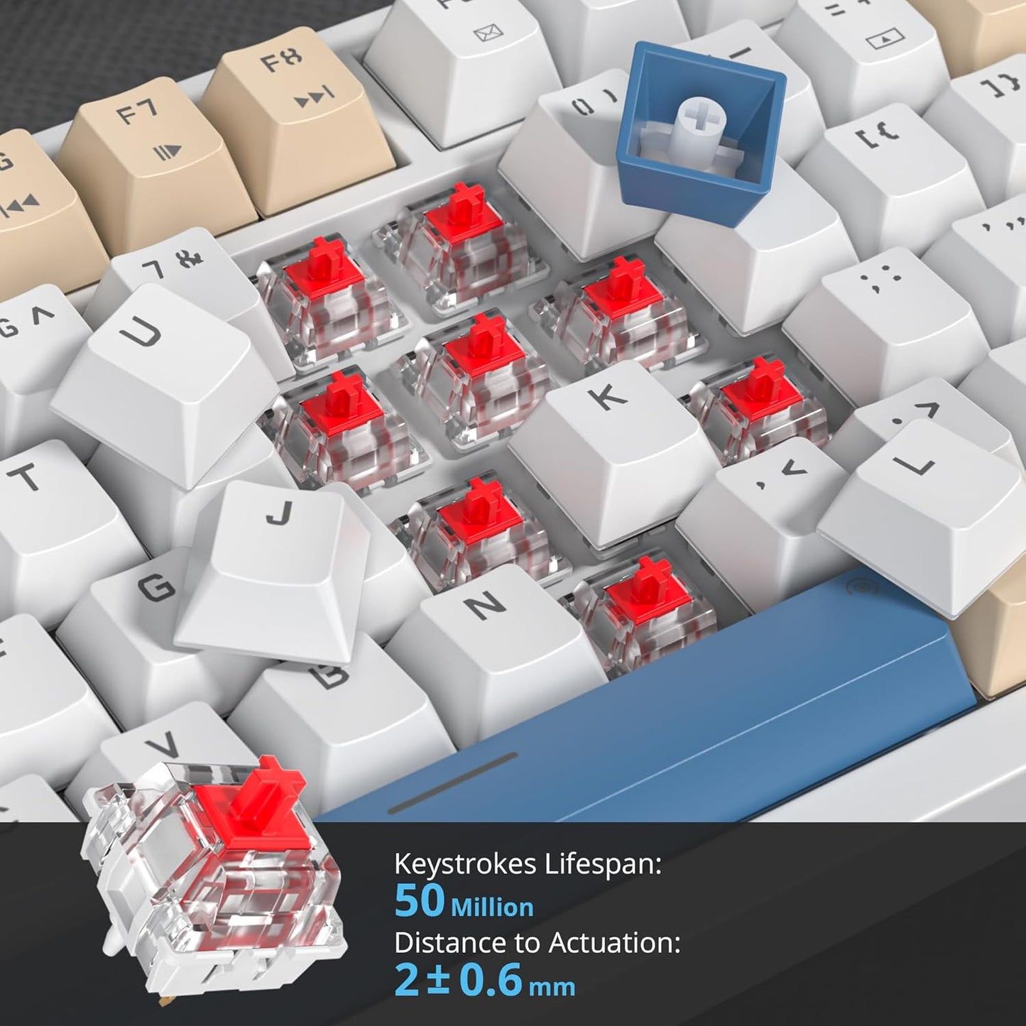 75 Percent Keyboard Gasket-Mounted with Sound Absorbing Pads, 82-Key Compact Wired RGB Mechanical Gaming Keyboard Hot-Swap Socket for Win, Gray White