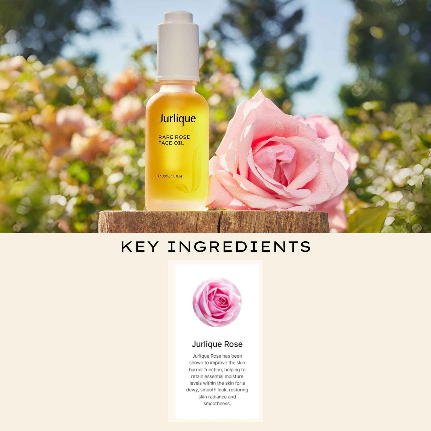 Jurlique Rare Rose Face Oil | 30ml | Dry Finish Hydrating Facial Oil to Hydrate & Relax | Face Oil For Women & Men With Dry Skin | For Day or Night | Australian Made Natural-Based Skincare