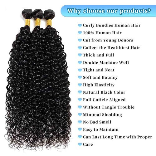 PXCPXC Water Wave Human Hair Bundles 20 22 24 Inch 12A Burmese Deerp Curly Bundles Human Hair 100% Unprocessed Wet and Wavy 3PC Bundles Human Hair Extensions Natural Black