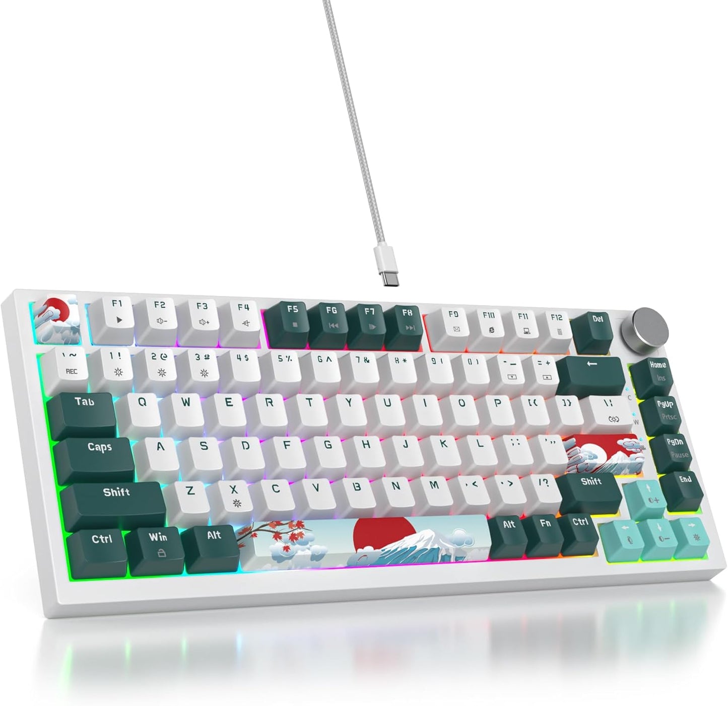 75 Percent Keyboard Gasket-Mounted with Sound Absorbing Pads, 82-Key Compact Wired RGB Mechanical Gaming Keyboard Hot-Swap Socket for Win, Monster