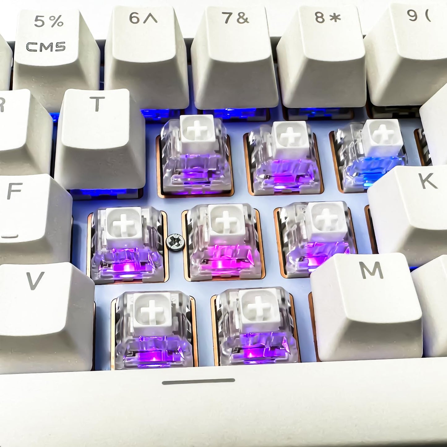 Zjmehty Kailh Box White Mechanical Keyboard Switches,3-Pin 45gf Clicky/Speed Typing/Gaming/Waterproof Switches(90Pcs,Kailh Box White)
