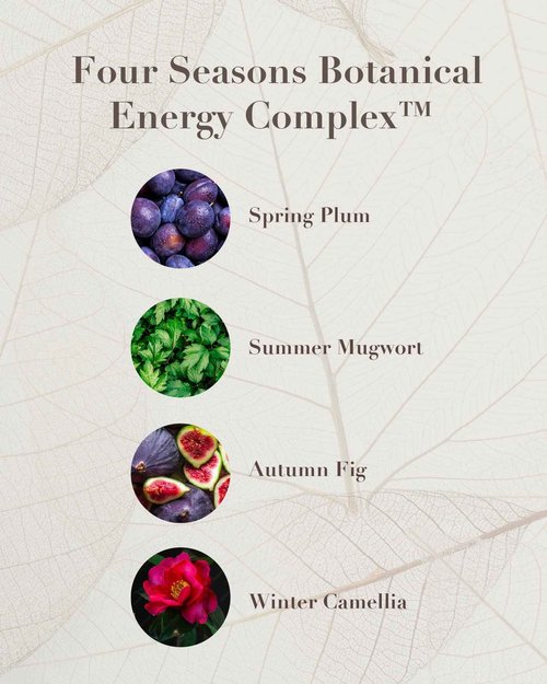 Sooryehan THE SAGA OF SOO BOTANICAL ENERGY (360 ml / 12.17 Fl Oz) - Korean Skincare Gift Set by LG BEAUTY. Botanical Energy Boosting Toner, Balancing Moisturizer, Cream, Foam Cleanser.