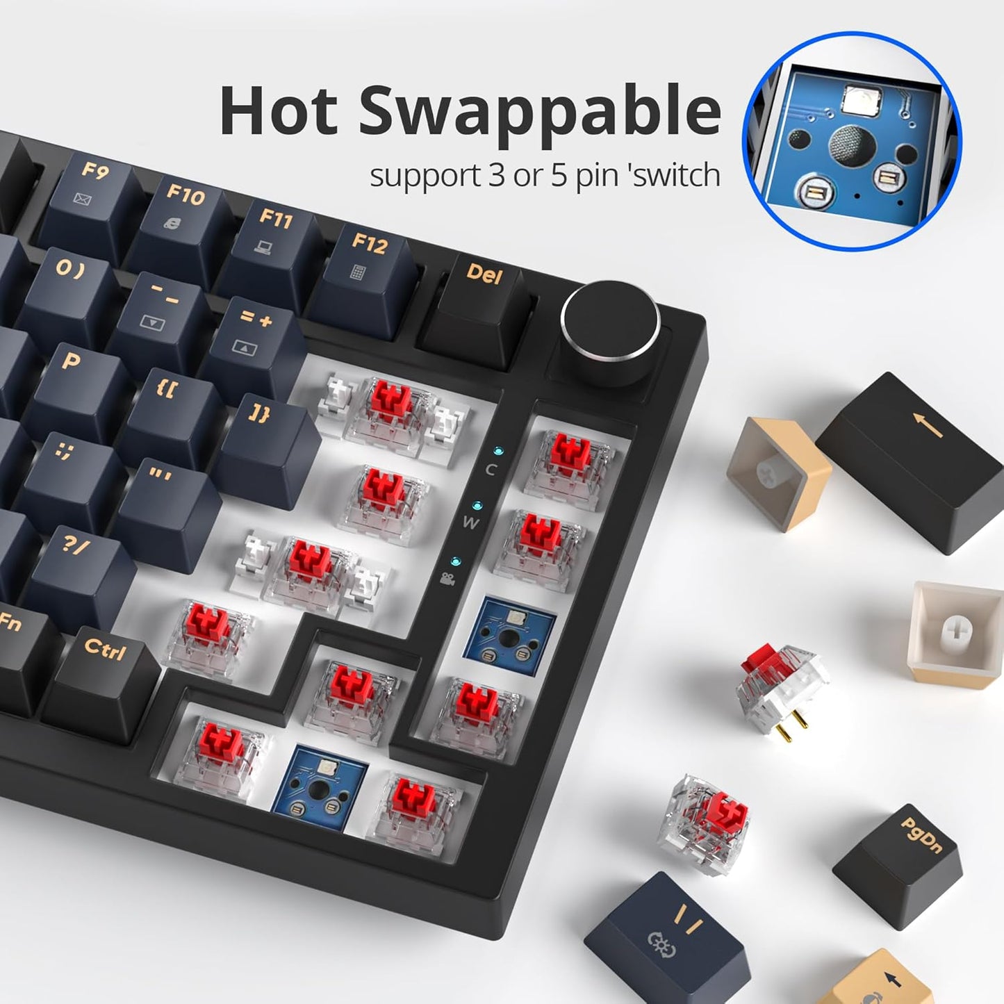 75 Percent Keyboard Gasket-Mounted with Sound Absorbing Pads, 82-Key Compact Wired RGB Mechanical Gaming Keyboard Hot-Swap Socket for Win, Dolch