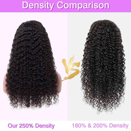 250% Density 13X6 Deep Wave Lace Front Wigs Human Hair Curly Wig Wet and Wavy HD Lace Front Wig Pre Plucked 100% Real Human Hair No Synthetic Blend No Tangle No Shedding Triple Lifespan 3X 20 Inch