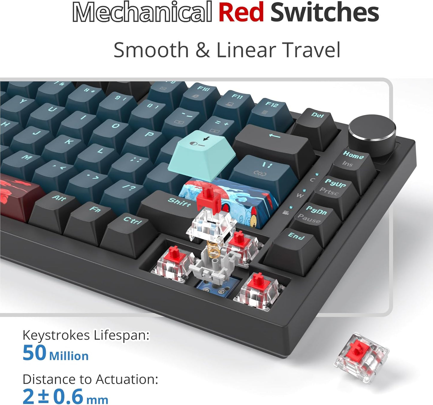 75 Percent Keyboard Gasket-Mounted with Sound Absorbing Pads, 82-Key Compact Wired RGB Mechanical Gaming Keyboard Hot-Swap Socket for Win, 9009