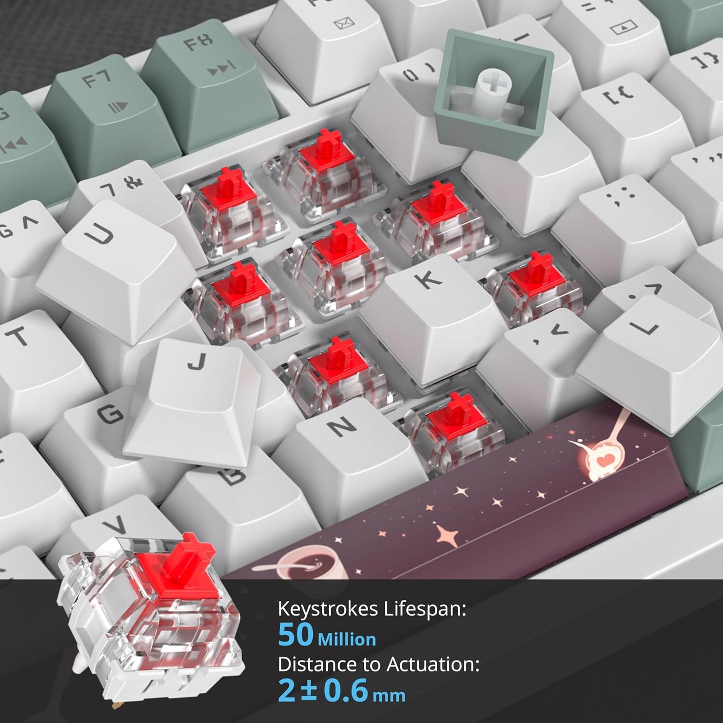 75 Percent Keyboard Gasket-Mounted with Sound Absorbing Pads, 82-Key Compact Wired RGB Mechanical Gaming Keyboard Hot-Swap Socket for Win, Monster