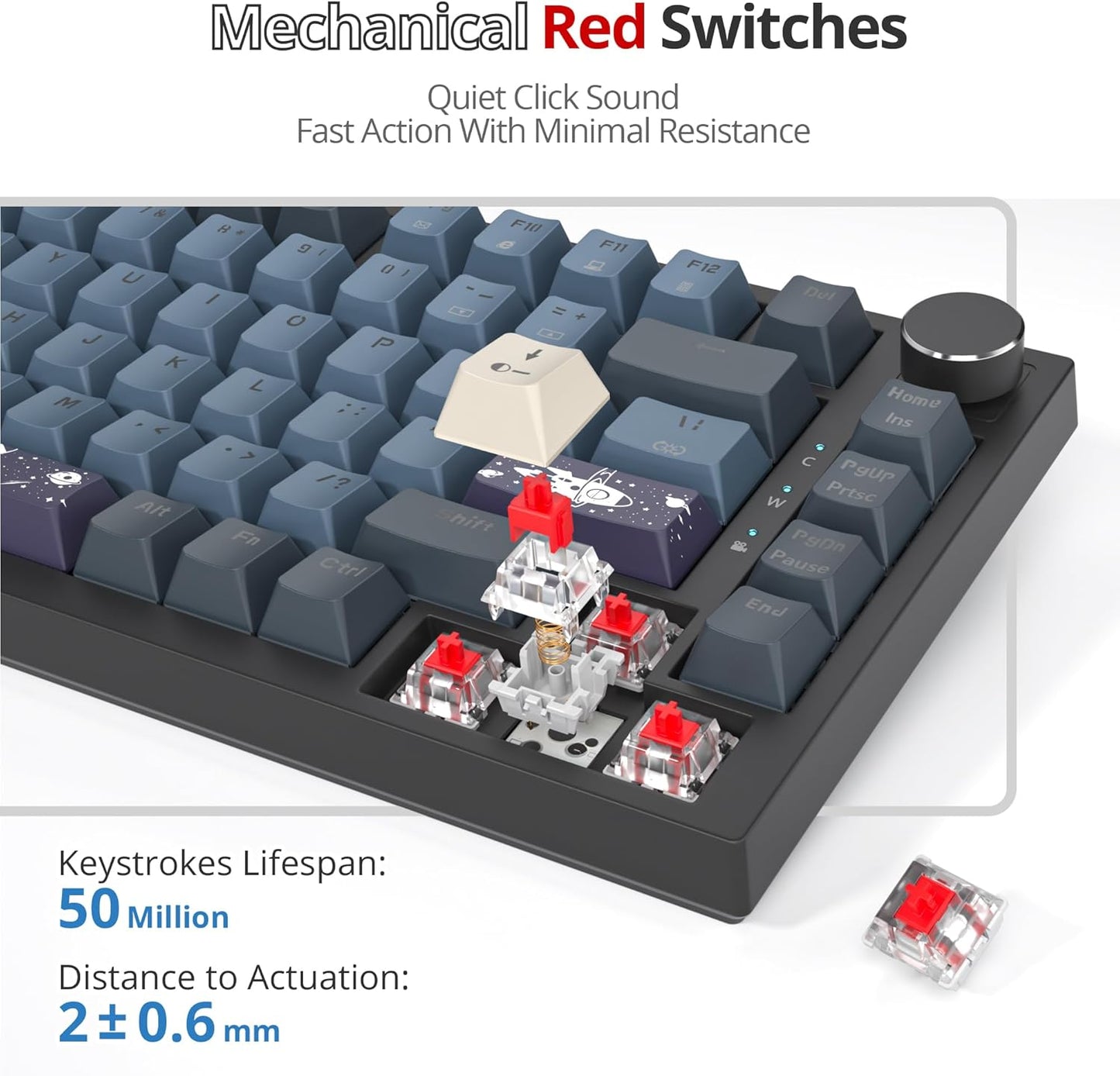 75 Percent Keyboard Gasket-Mounted with Sound Absorbing Pads, 82-Key Compact Wired RGB Mechanical Gaming Keyboard Hot-Swap Socket for Win, Monster