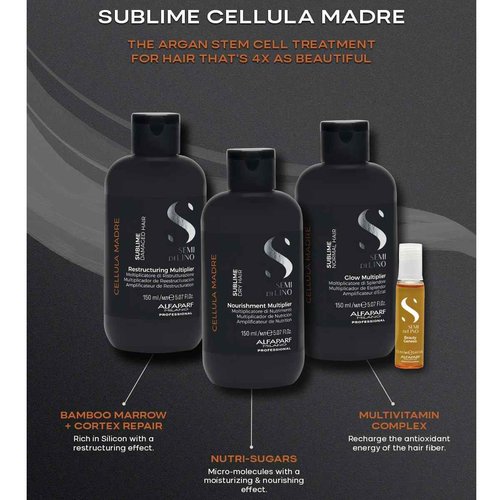 ALFAPARF MILANO Semi di Lino Sublime Cellula Madre Beauty Genesis Vials - Argan Ampoules for Radiant and Healthy Hair - Protects Color - Adds Shine (12 Vials / 0.44 fl. oz. each)