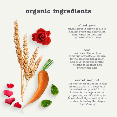 Erbaviva Organic Stretch Mark Oil for Pregnancy, Stretch Marks & Scars - 16 Fl Oz