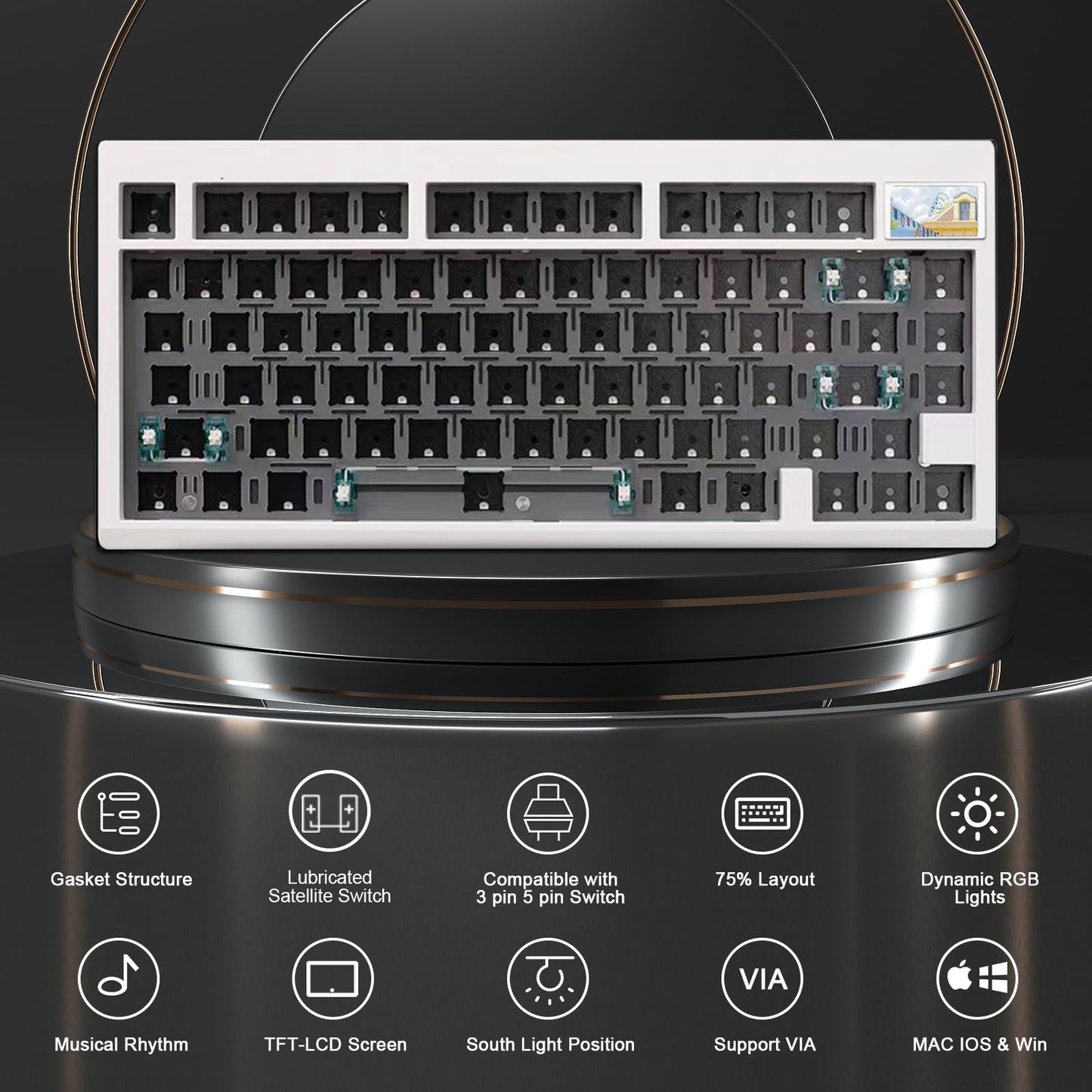 ZMX GMK81 Barebones Keyboard with Screen,75% VIA Programmable Hot Swappable PCB Gasket Mounted Wireless Mechanical Keyboard Kit Tri-Mode BT5.0/2.4G/USB-C Wired Custom RGB Gaming DIY Kit