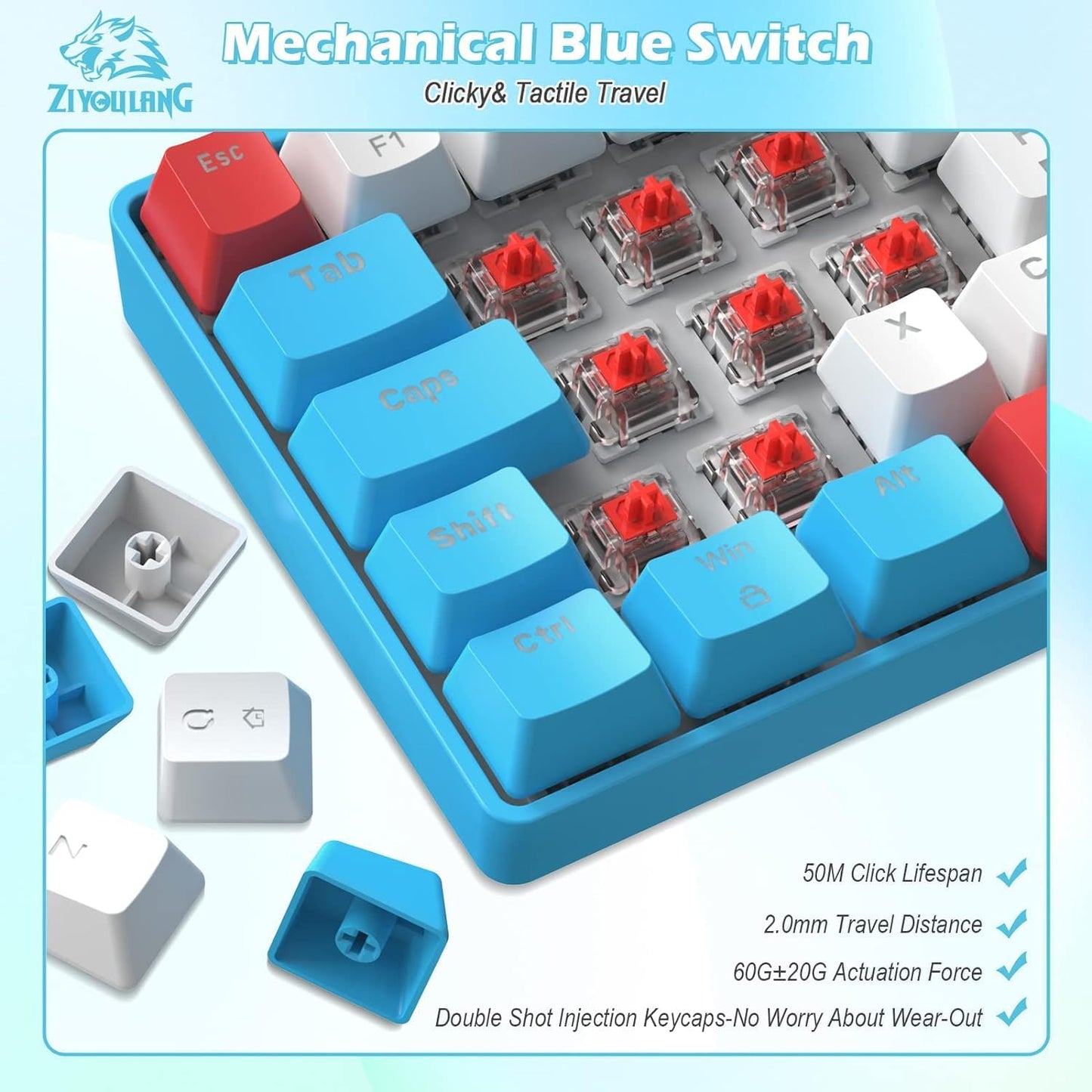 ZIYOU LANG RK-T60 Wired Mechanical Gaming Keyboard Mini Portable with Rainbow Backlit 62Key ABS Keycaps Full Anti-Ghosting Ergonomic Design Coiled Aviator Cable for PS4/PC/WIN Gamer(Blue/Red Switch)