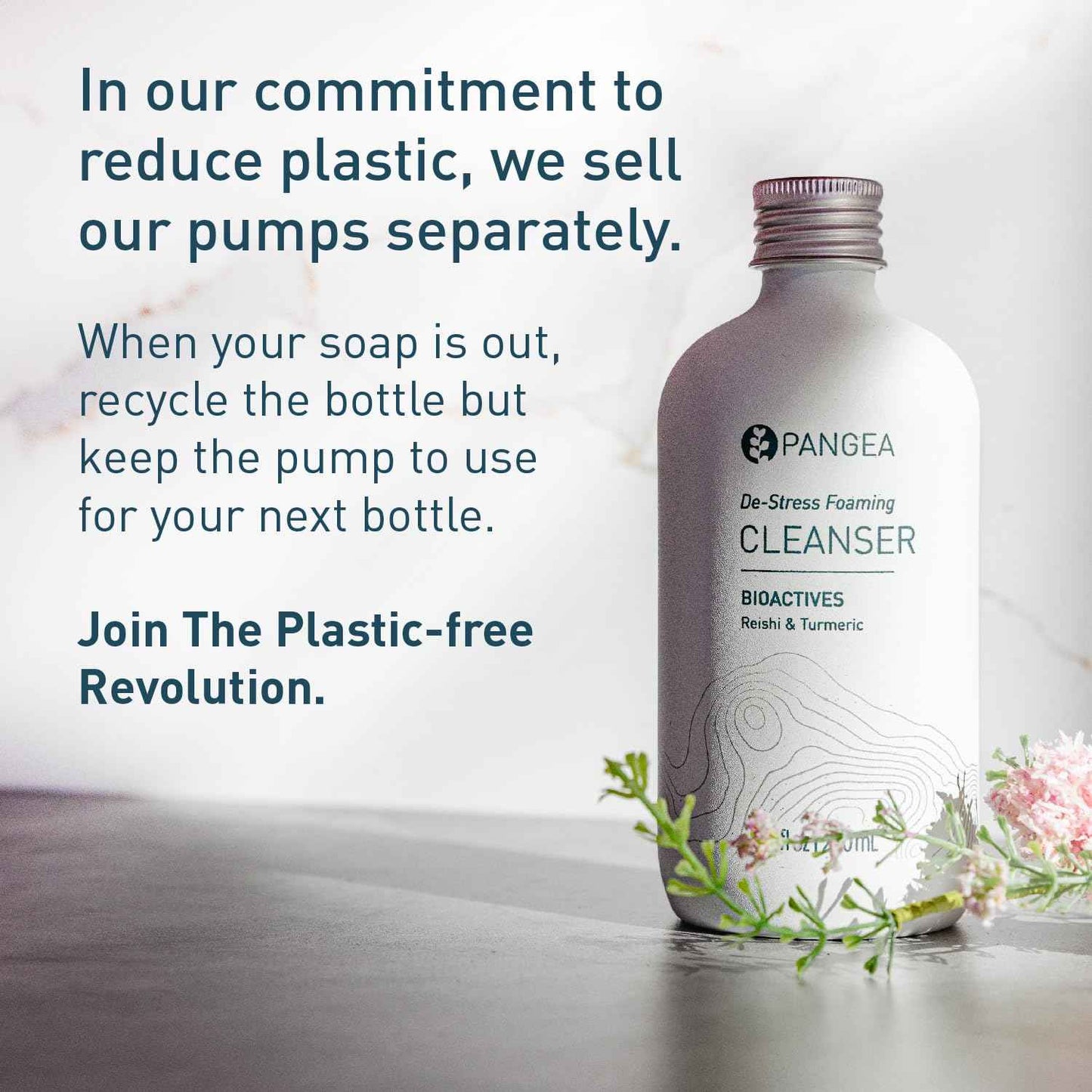 Pangea Organics Natural Reishi + Turmeric De-Stress Foaming Facial Cleanser | Vegan, Non-Toxic, Gentle & Hydrating | Sustainable Glass Bottle (7.8 fl oz | 230 ml)
