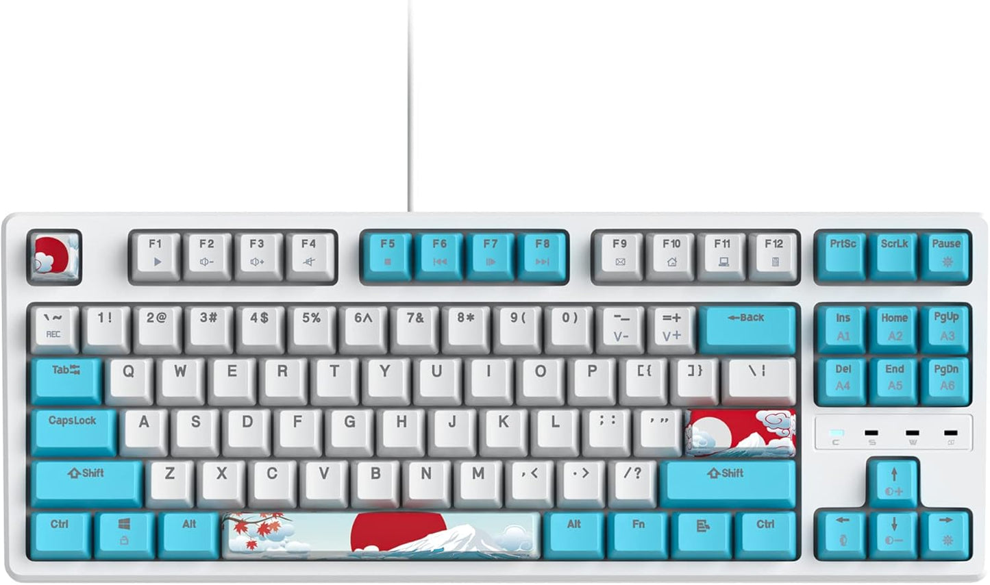 60 Percent Keyboard Mechanical RGB Backlit Wired 60% Gaming Keyboard Blue with PBT Keycaps for Windows PC Gamers (Sea/Red Switch)