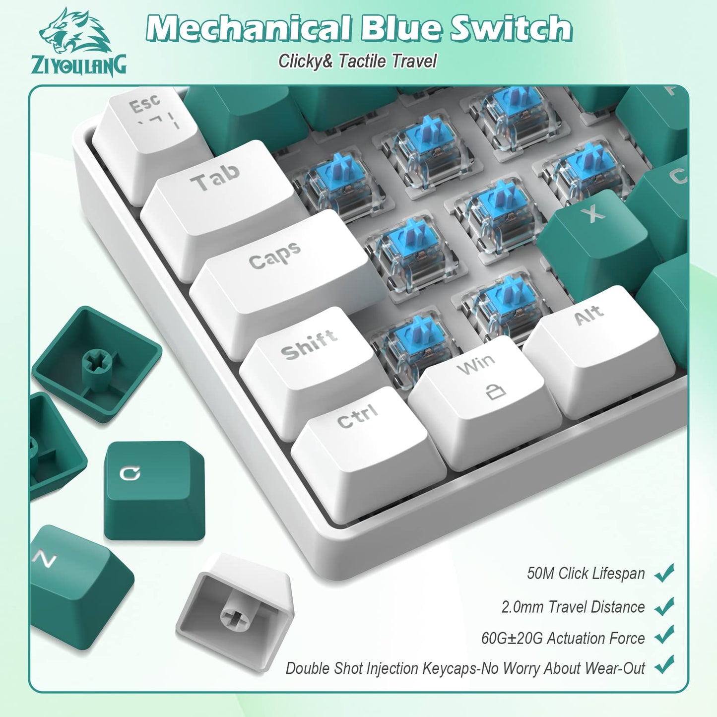 ZIYOU LANG RK-T60 Wired Mechanical Gaming Keyboard and Mouse Combo Mini Portable with Rainbow Backlit 62Key NKRO 6400DPI RGB Honeycomb Mice Coiled Aviator Cable for PS4/PC/WIN Gamer(Green/Blue Switch)