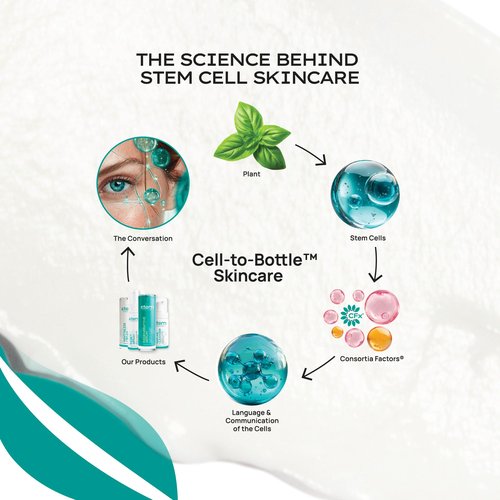 STEM Natural Intelligence Revitalize Cream, Facial Moisturizer, Luxury Skin Care, Face Moisturizer for Women, Peptides Serum, Antioxidant Support, Face Mask & Cream, 1oz Bottle