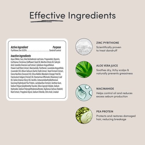 Jupiter Balancing Shampoo and Restoring Serum - Anti Dandruff Shampoo & Serum for Flaky, Itchy, Oily, & Dry Scalp - Nourishes Scalp, Reduces Breakage & Flakes - Color-Safe, Sulfate-Free, Paraben-Free