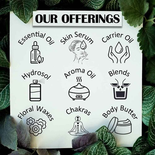 Deve Herbes Pure Neroli Essential Oil (Citrus aurantium) Steam Distilled 300ml (10 oz)