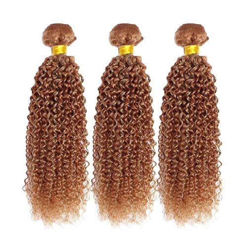Biliisyff Highlight Kinky Curly Bundle P27/30 Human Hair Weave Brazilian Virgin Remy Hair Two Tone Honey Blonde Mixed With Brown Double Weft Hair 24 26 28 Inch