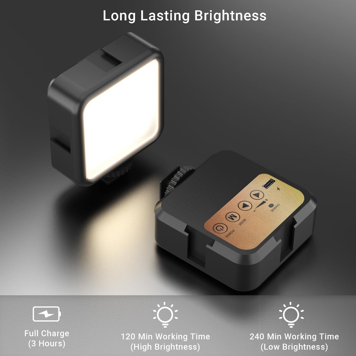 Zoom Light + Cold Shoe Light with Gooseneck