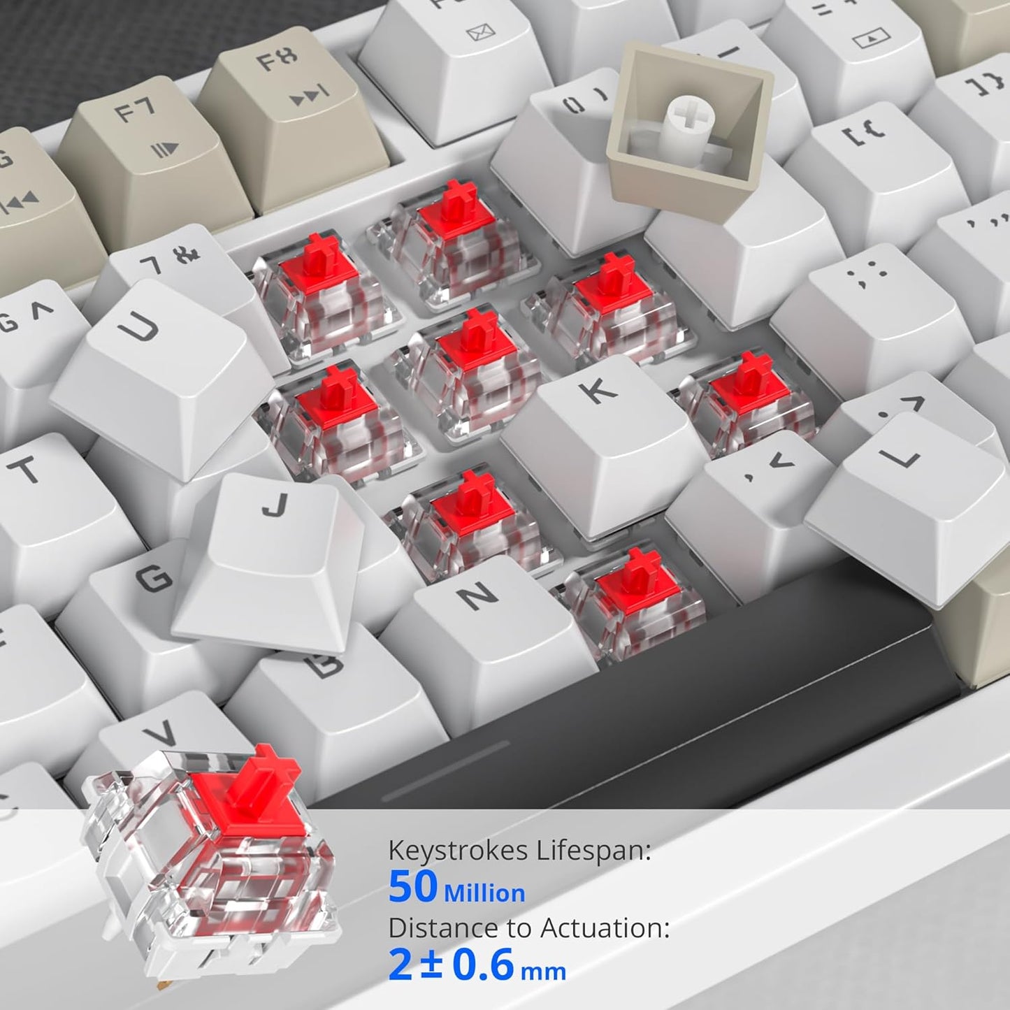 75% Mechanical Gaming Keyboard, Hot Swappable RGB Backlit Custom With Knob, Gasket Mount USB Wired, 82 Keys Blue White Linear Red Switch (82 Blue White)