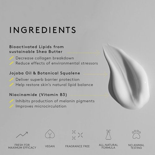 NUORI Protect + Facial Cream | For All Skin Types Including Hypersensitive Skin, All Natural, Fragrance Free, 30 ml / 1 fl oz