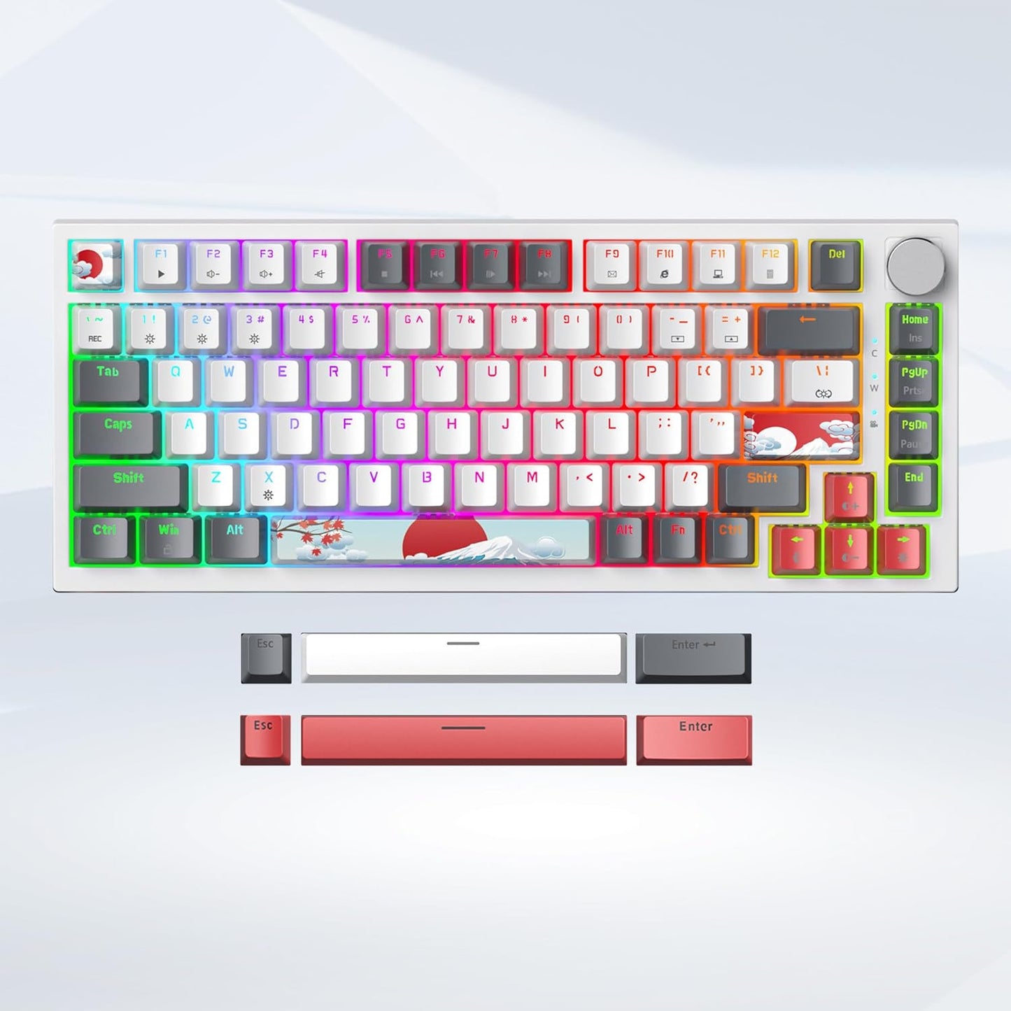 75 Percent Keyboard Gasket-Mounted with Sound Absorbing Pads, 82-Key Compact Wired RGB Mechanical Gaming Keyboard Hot-Swap Socket for Win, Blue Samurai