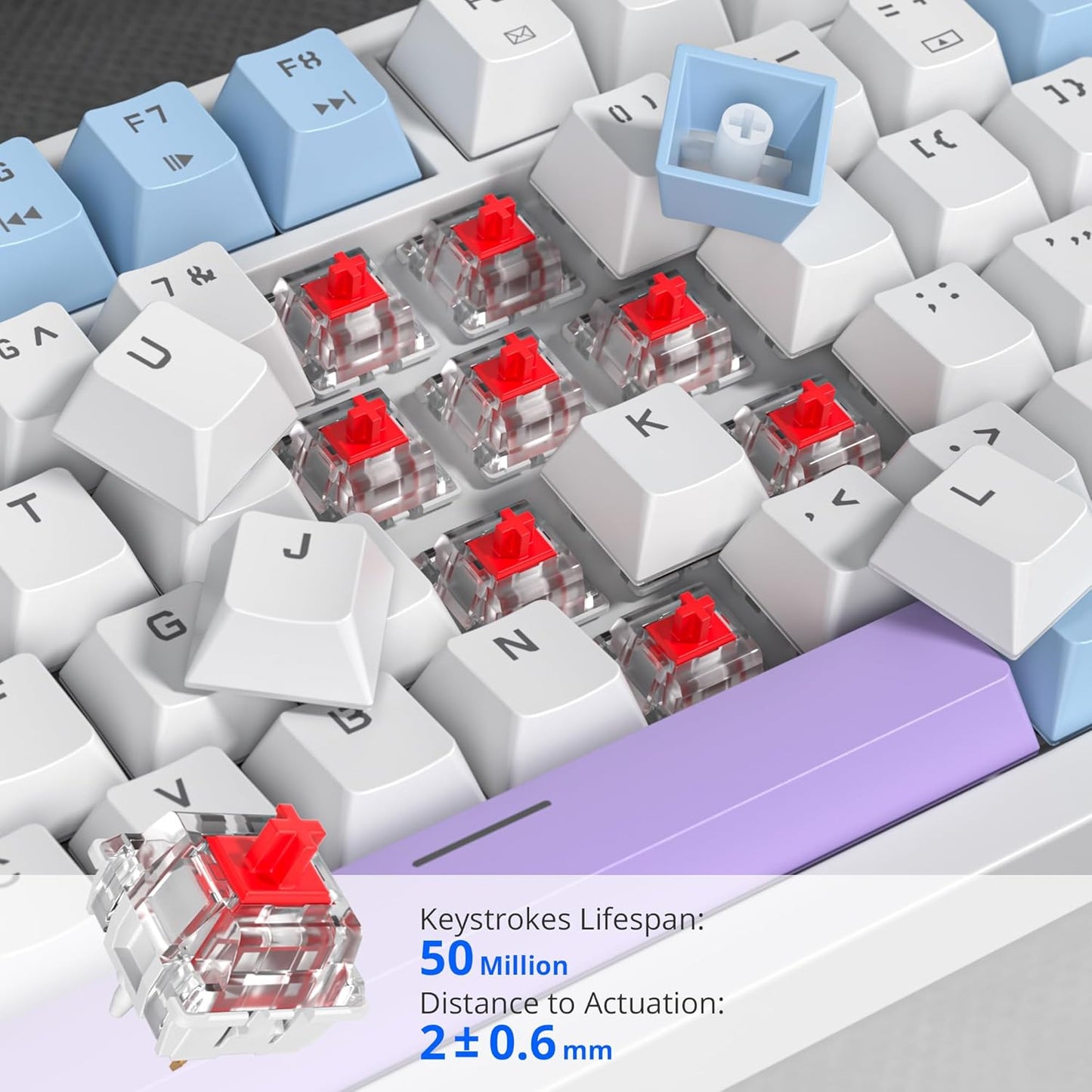 75% Mechanical Gaming Keyboard with Volumn Knob, Gasket Hot Swappable RGB, Wired, Red Switch, 82 Keys Compact Creamy (Black Grey)