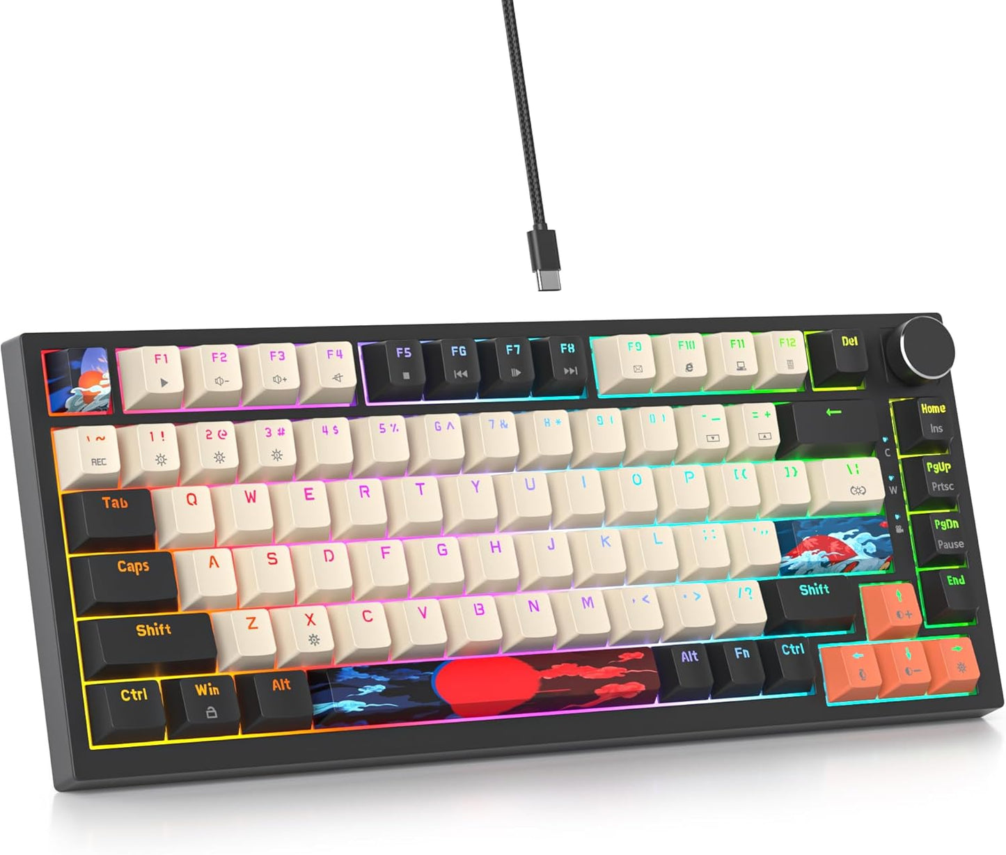 75 Percent Keyboard Gasket-Mounted with Sound Absorbing Pads, 82-Key Compact Wired RGB Mechanical Gaming Keyboard Hot-Swap Socket for Win, Dolch