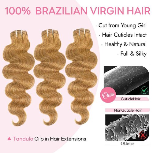 Tandulo Clip in Hair Extensions Real Human Hair Body Wave 27 Honey Blonde Clip in 100% Brazilian Remy Human Hair Extensions 8pcs Per Set with 18 Clips Double Weft 24 Inch 120g/3.6oz