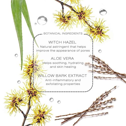 BIBA DE SOUSA Glycolic Toner + Zinc Mask Bundle