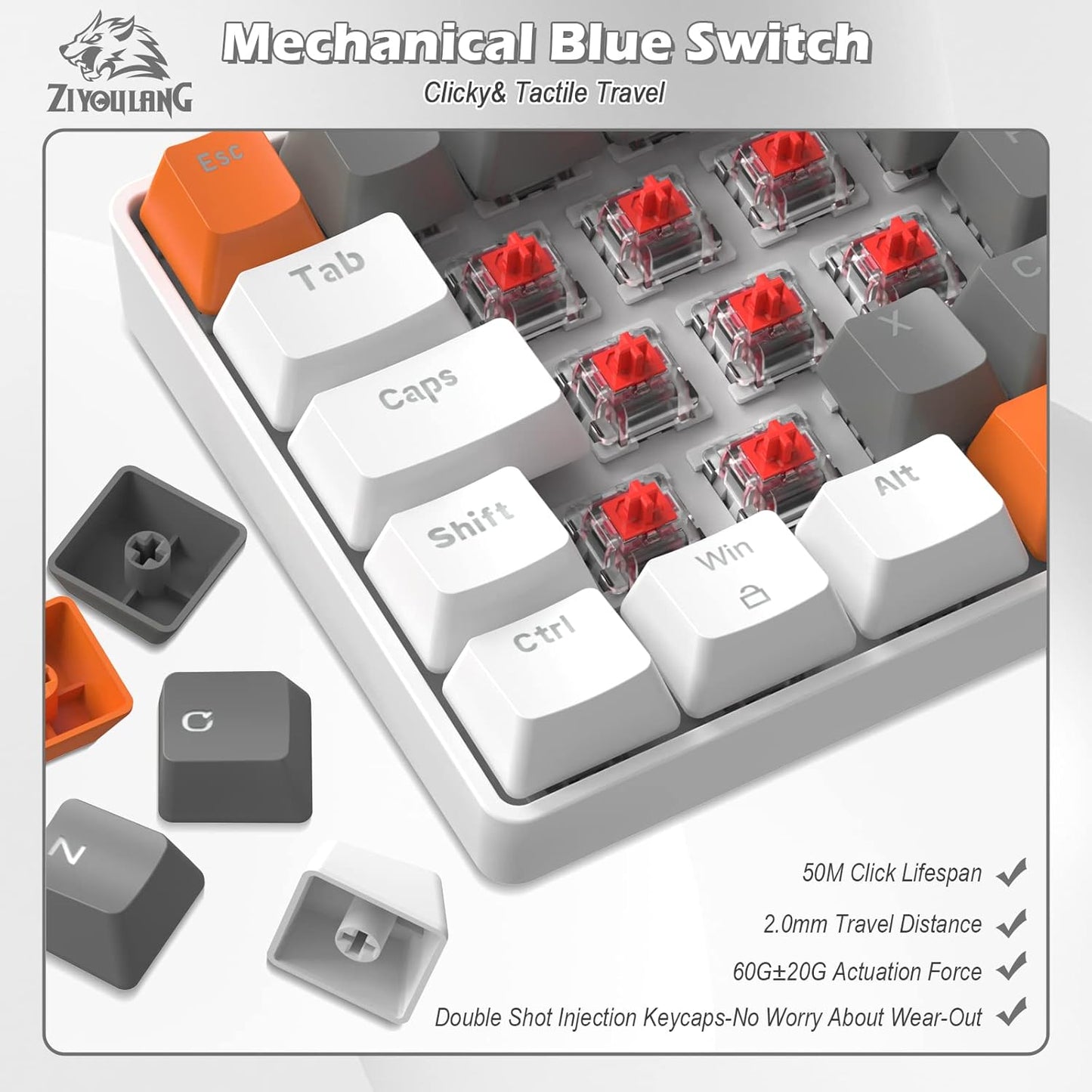 ZIYOU LANG RK-T60 Wired Mechanical Gaming Keyboard and Mouse Combo Portable with Rainbow Backlit 62Key NKRO 6400DPI RGB Honeycomb Mice Coiled Aviator Cable for PS4/PC/WIN Gamer(Light Gray/Red Switch)
