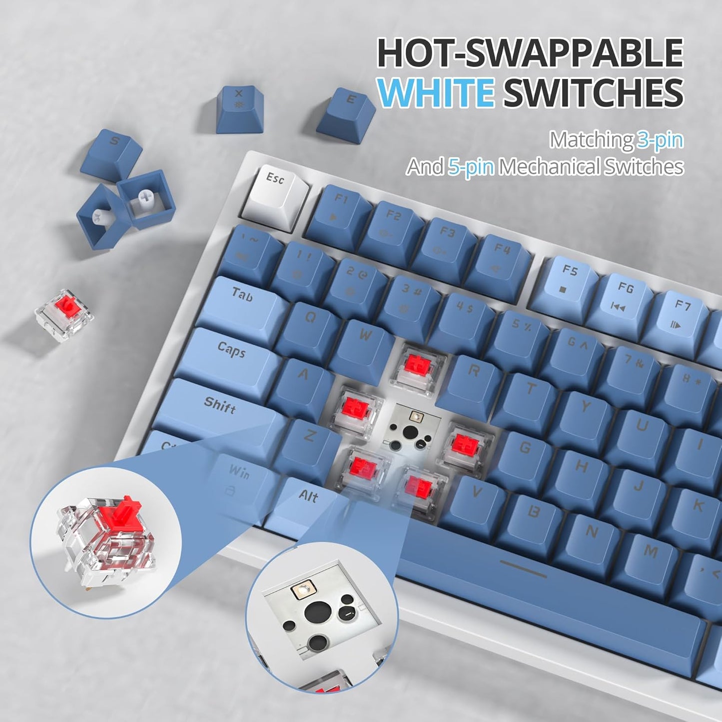 75 Percent Keyboard Gasket-Mounted with Sound Absorbing Pads, 82-Key Compact Wired RGB Mechanical Gaming Keyboard Hot-Swap Socket for Win, Fog Blue