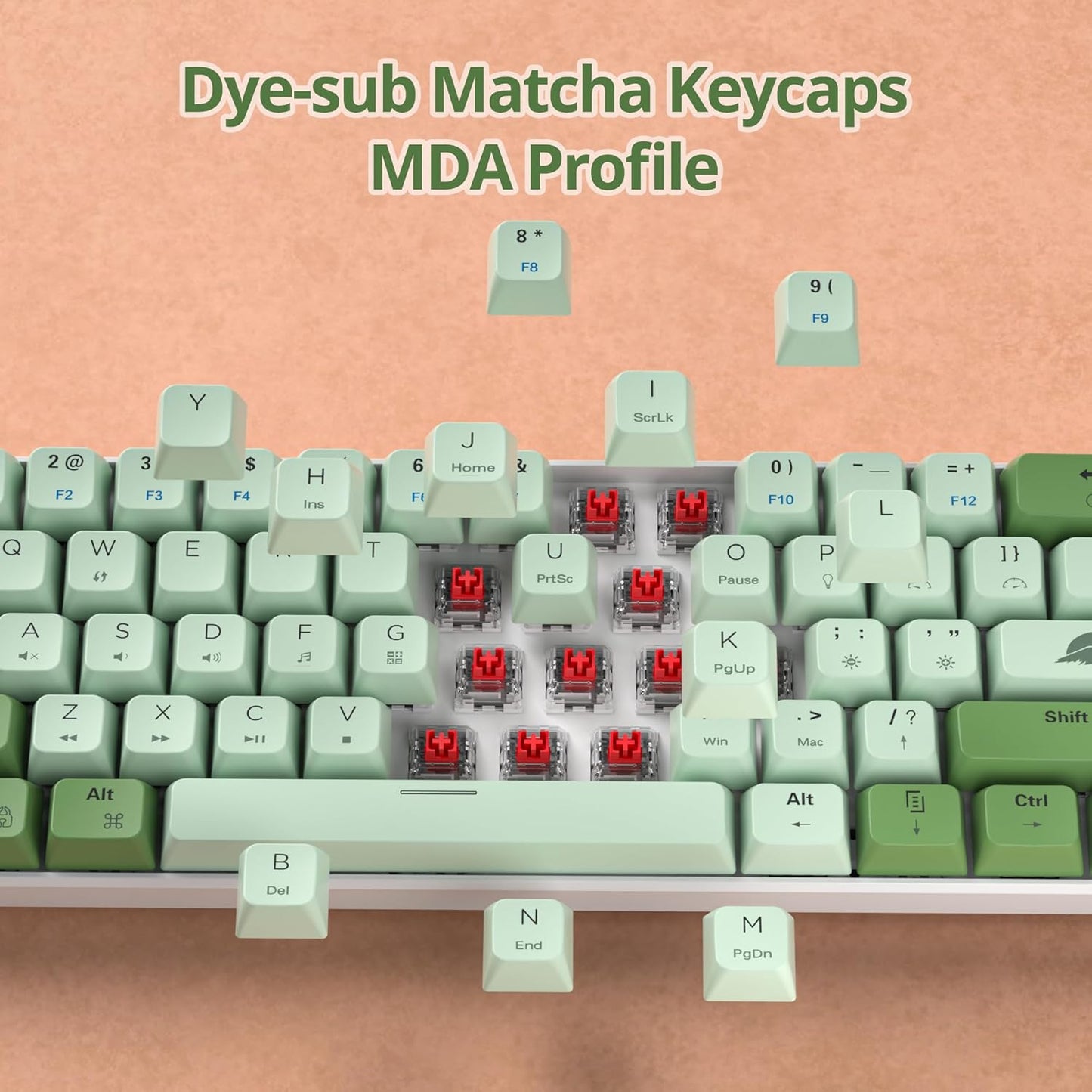60 Percent Gaming Keyboard Mechanical with Linear Red Switch, 65% Wired Ultra-Compact Mini Keyboard Rainbow with PBT Keycaps for Ps4/Ps5/Xbox(68 MonsterB)