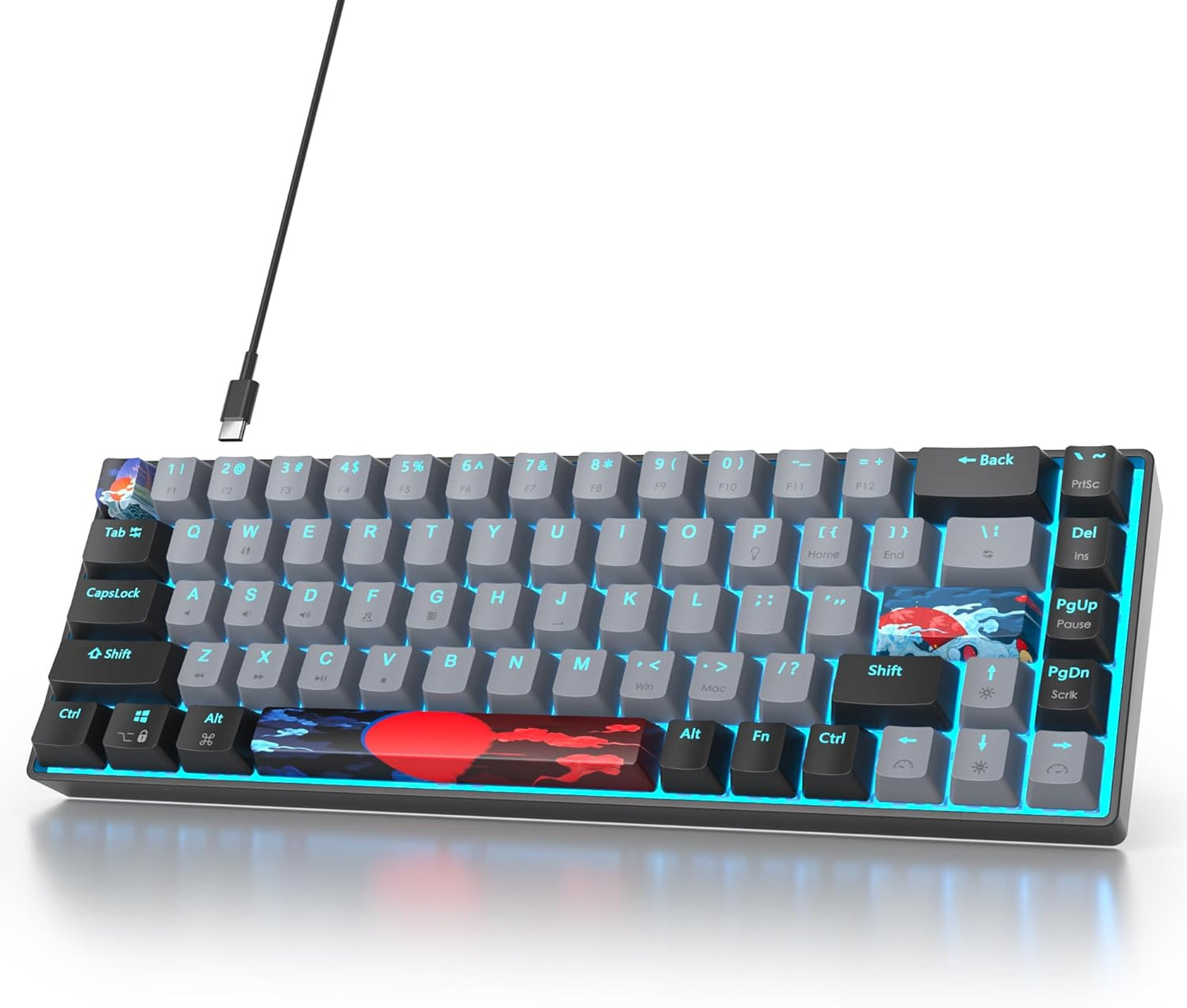 60 Percent Gaming Keyboard 61 Keys Wired Mechanical Keyboard Ultra Compact Key Board Red Switch LED Backlit for Windows Laptop Gamer