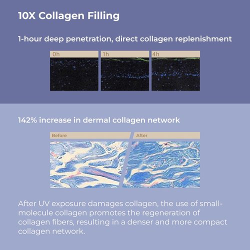 CHANDO Himalaya Extravagance Rejuvenation Collagen Serum (50ml/1.69oz) - Anti Aging Face Moisturizing Essence, Boosts Skin Elasticity and Reduces Fine Wrinkles