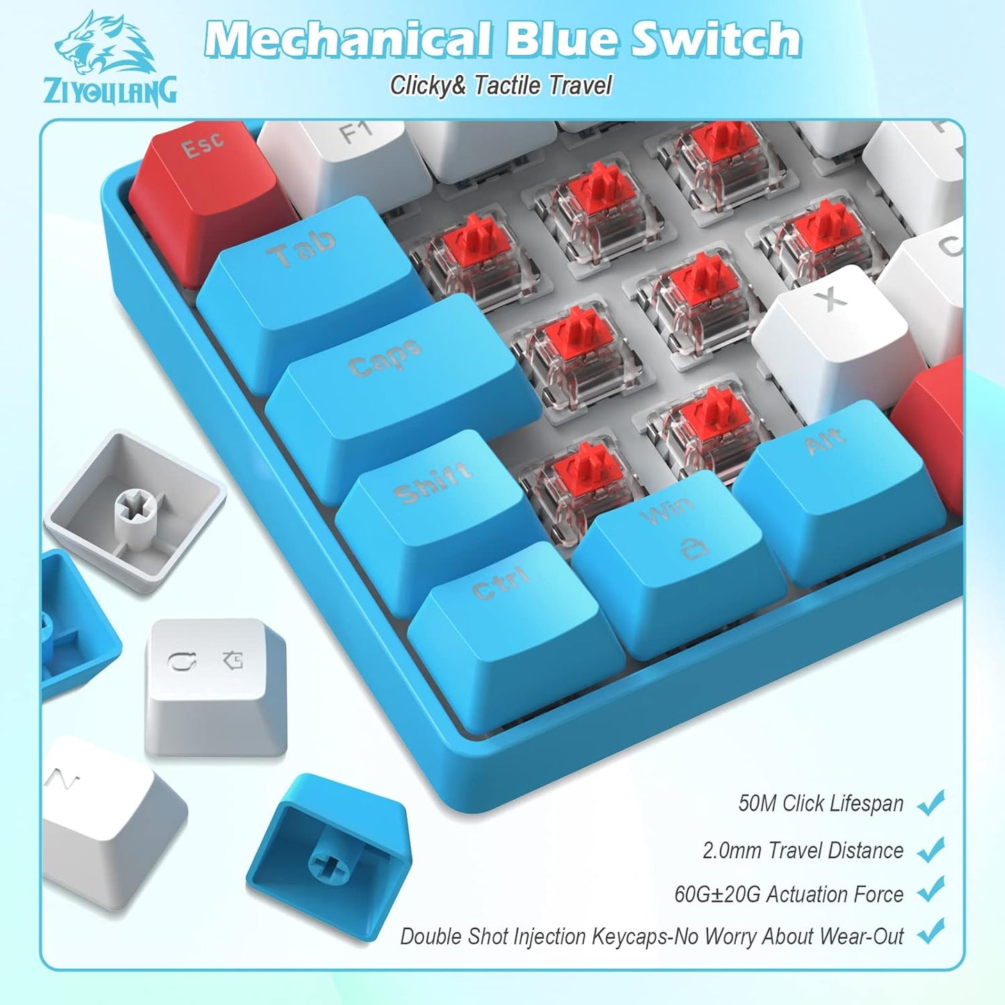 ZIYOU LANG RK-T60 Wired Mechanical Gaming Keyboard Mini Portable with Rainbow Backlit 62Key ABS Keycaps Full Anti-Ghosting Ergonomic Design Coiled Aviator Cable for PS4/PC/WIN Gamer(Blue/Red Switch)