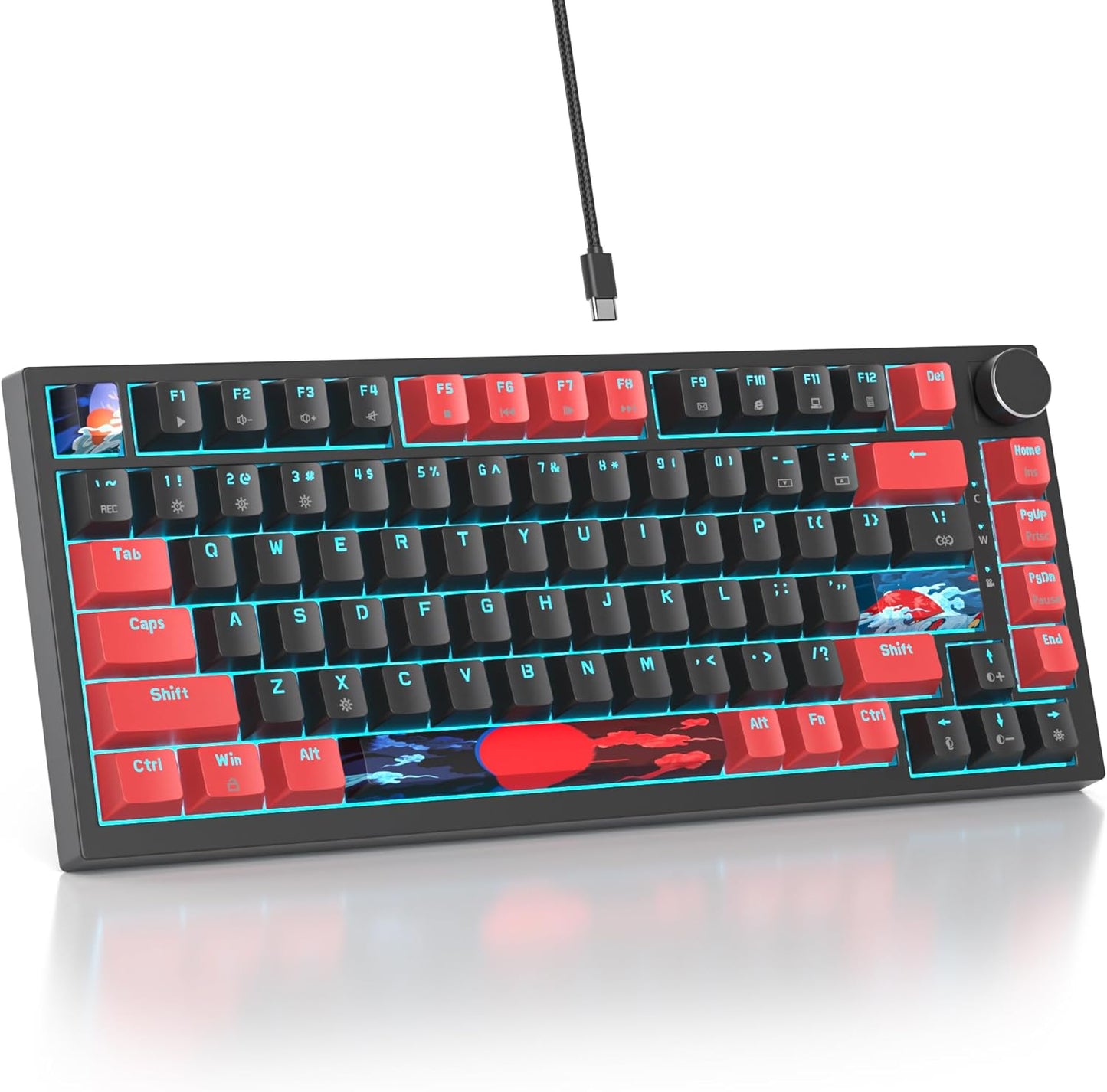 75 Percent Keyboard Gasket-Mounted with Sound Absorbing Pads, 82-Key Compact Wired RGB Mechanical Gaming Keyboard Hot-Swap Socket for Win, Dolch