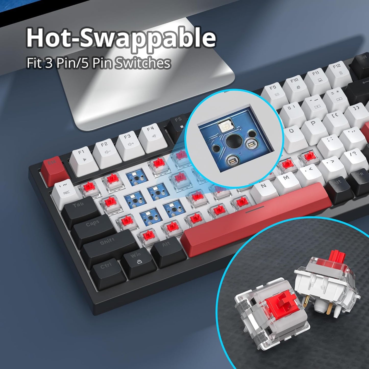 75 Percent Keyboard Gasket-Mounted with Sound Absorbing Pads, 82-Key Compact Wired RGB Mechanical Gaming Keyboard Hot-Swap Socket for Win, Dolch