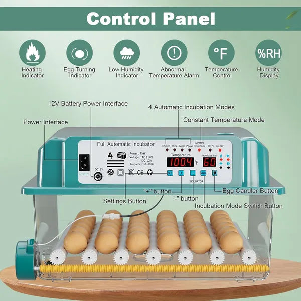 Automatic Egg Incubator for Hatching 36 Eggs - Humidity Control & Turning