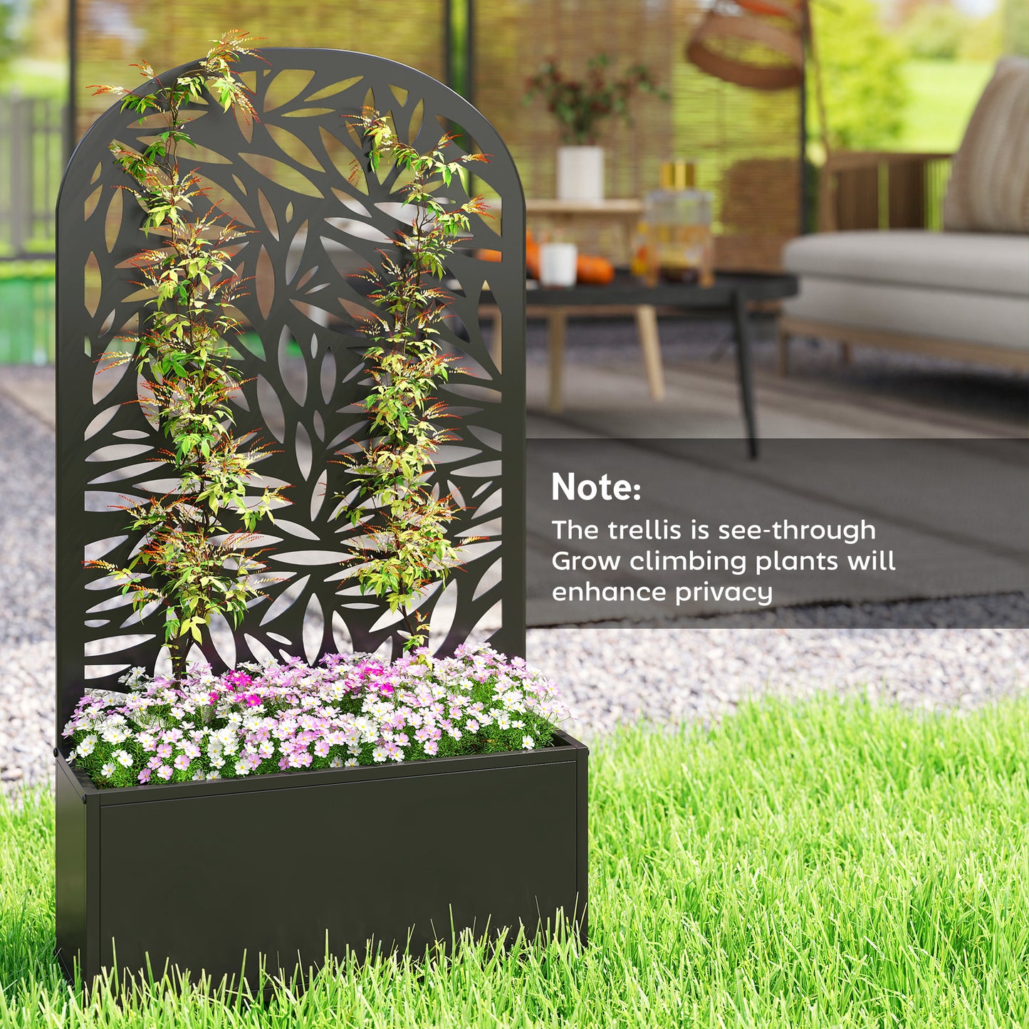 Metal Garden Bed with Trellis for Climbing Plants - Freestanding or Wall Mount